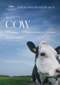 Poster for Cow